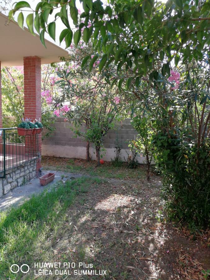 Villa Galilei Rooms Pisa Dış mekan fotoğraf