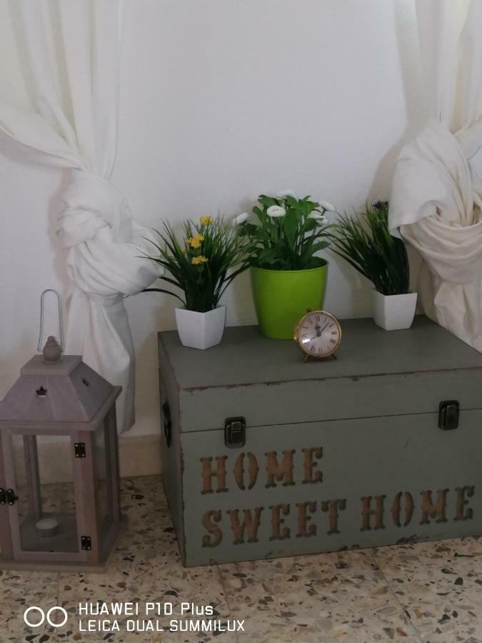 Villa Galilei Rooms Pisa Dış mekan fotoğraf